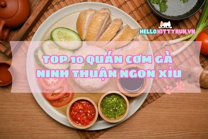 Top 10 quán cơm gà Ninh Thuận 2024 ngon xỉu, fan gà không thể bỏ lỡ!