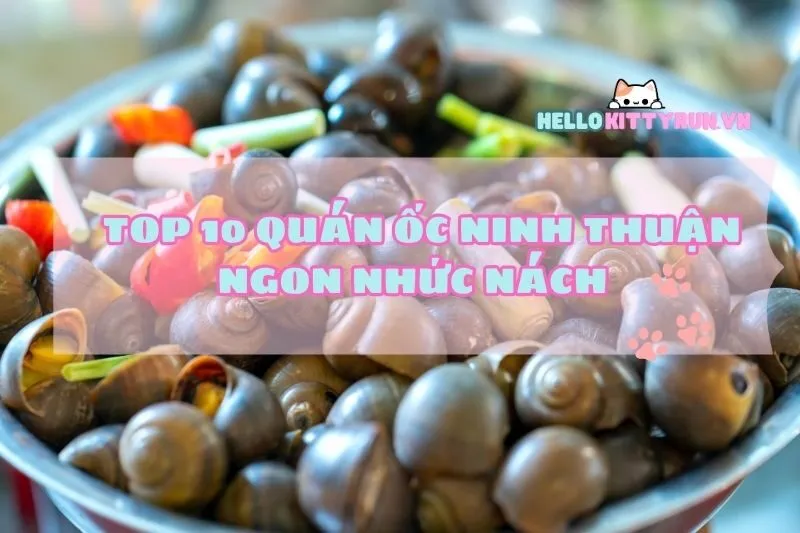 Top 10 quán ốc ngon Ninh Thuận ngon nhức nách team Gen Z phải thử 2024