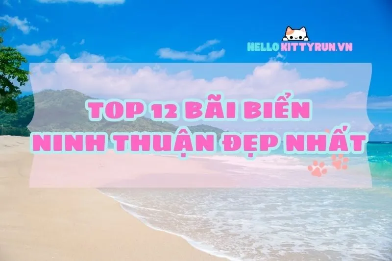 Top 12 bãi biển Ninh Thuận đẹp ngất ngây 2024