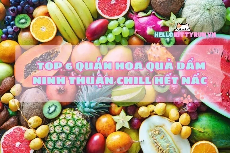 Top 6 quán hoa quả dầm Ninh Thuận chill hết nấc bạn phải thử 2024