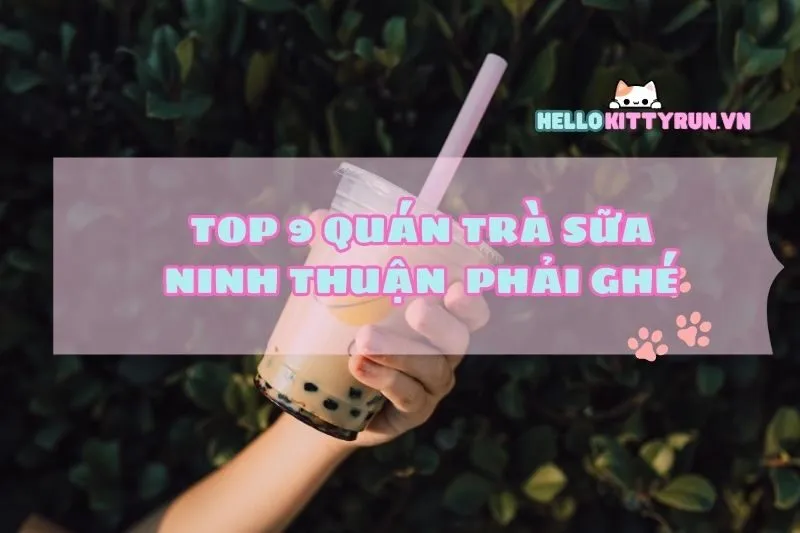 Top 9 Quán Trà Sữa Ninh Thuận Xịn Xò Phải Ghé 2024