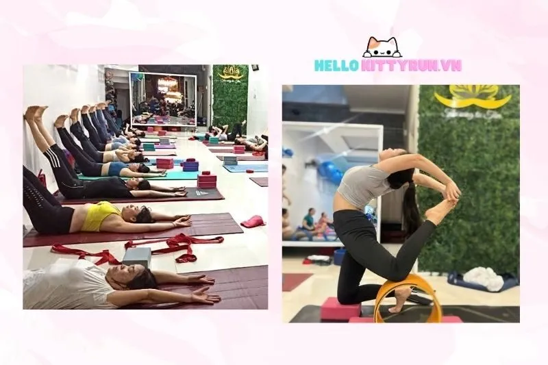 Yoga Hoa Đào