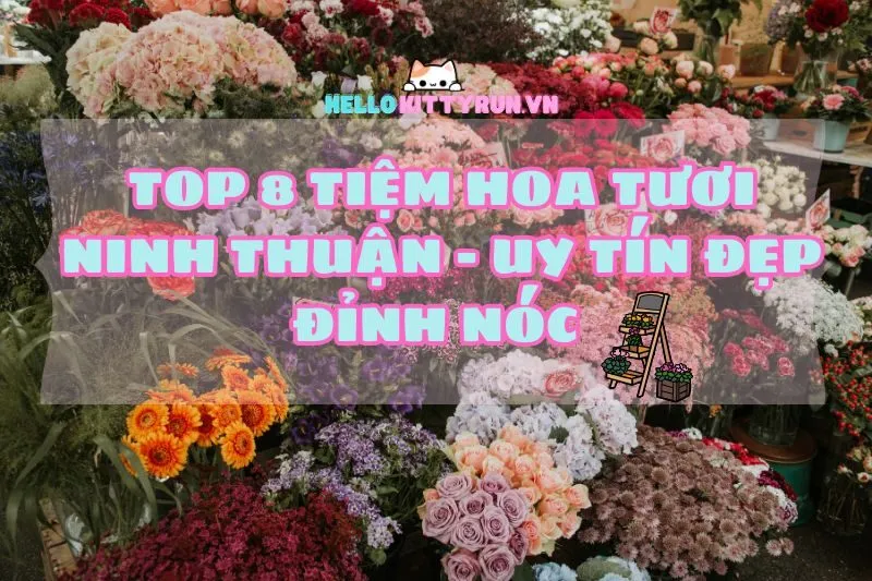 Top 8 Tiệm Hoa Tươi Ninh Thuận 2024 – Địa Chỉ Chuẩn xịn, Giá Thơm