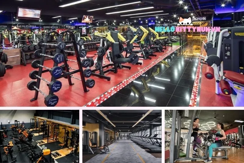 Top 9 phòng gym Ninh Thuận xịn xò, tìm hiểu ngay