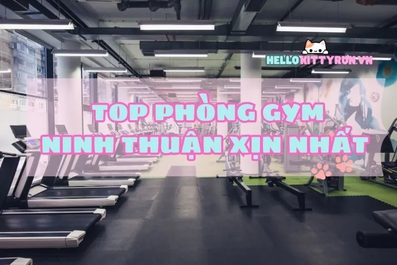 Top phòng gym Ninh Thuận xịn nhất – Đầy đủ thiết bị & giá rẻ 2024