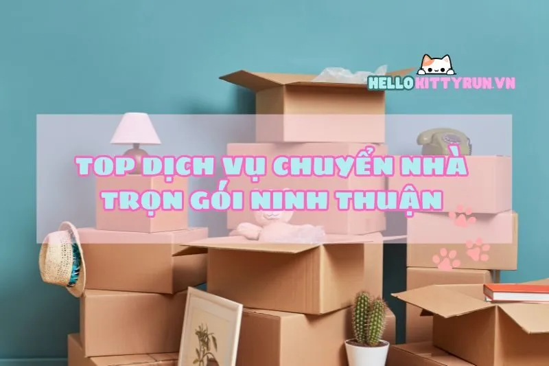 Top dịch vụ chuyển nhà trọn gói Ninh Thuận: Uy tín, Giá thơm 2025